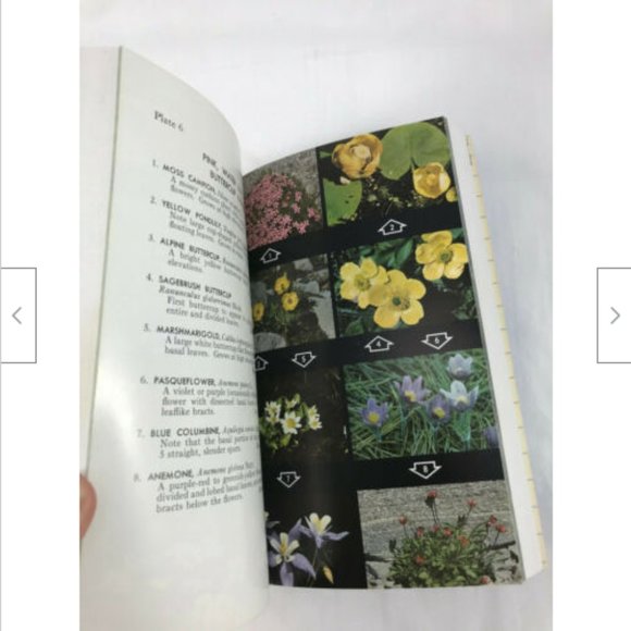 Vtg Peterson Field Guide to Rocky Mountain Wildflowers 1980 Softcover Flowers - Picture 3 of 7